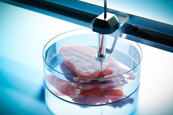 When will 3D-printed organs be available?
