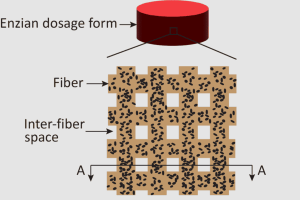 3D Printing Innovations: Redefining the Future of Oral Cancer Therapy