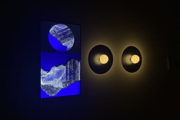 Empowering Student Creativity: 3DSPRO Delivers Student Art with 3D Printing