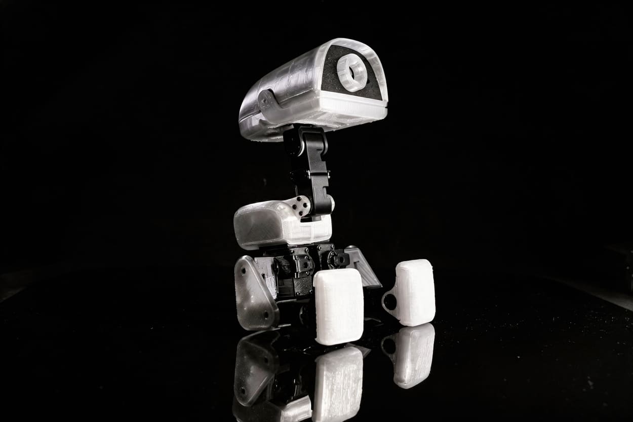 microduck_1