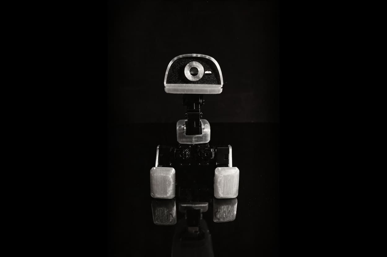 microduck_3