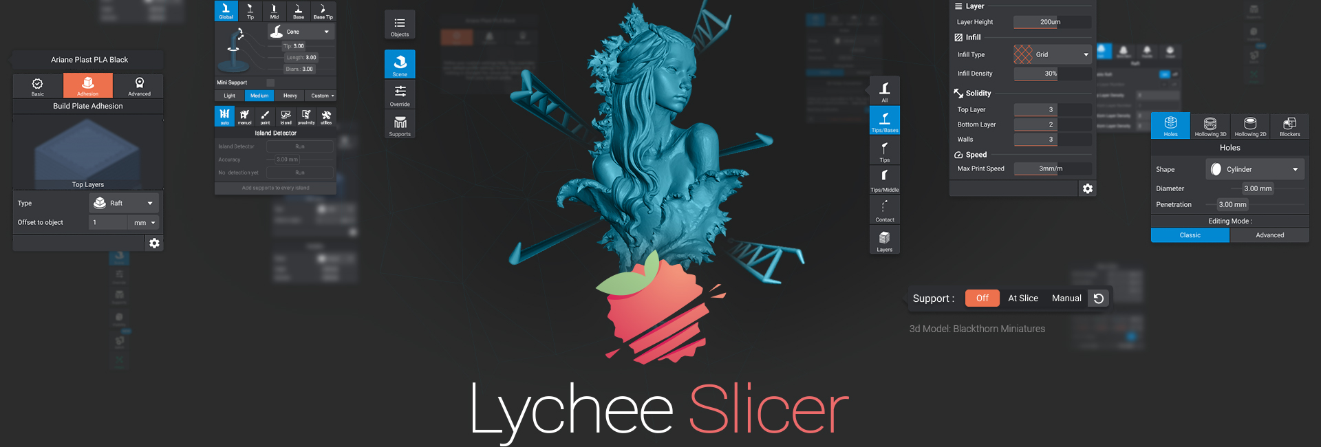 3D Slicer-Lychee Slicer